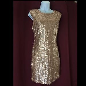 Rose Pink Sequin Dress (Medium)